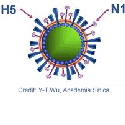 Le virus H5N1 est mortel dans 60% des cas. On craint un pic d'infection en début d'année 2012. Cliquez pour voir ...