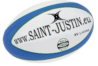 Edition spéciale du balon de rugby coupe du monde 2007 à  Saint Justin